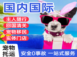 东阳横店航空快递国际宠物托运 【国